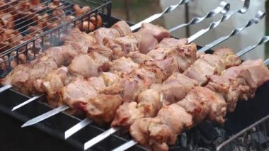 Lezzetli, iştah açıcı biftek eti dışarıda ateşte ve dumanda kızarıyor. Yaz tatilinde arkadaşlarla ızgarada şiş kebap. Kömürlü ızgara ızgara. Yüksek kalite FullHD