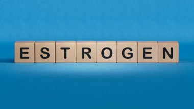 Ahşap bloklar kavramından yapılmış ESTROGEN sözcüğü. Ahşap elementlere yakın plan, mavi arkaplanda 3D İş Konsepti.