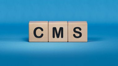 Tahta küplere cms harfi. Ahşap elementlere yakın, mavi arkaplanda 3D İş Konsepti.