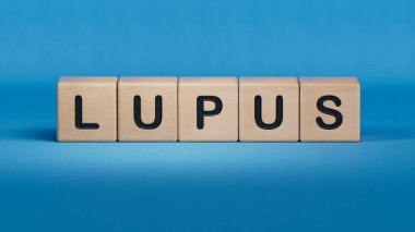 LUPUS kelime bina blokları ile yapılır. Ahşap elementlere yakın çekim, mavi arka planda 3D İş Konsepti.