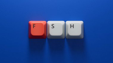 The word FSH is written on Computer keyboard keys. Medical concept.close up of Computer keyboard keys,Business Concept.3D rendering on blue background. clipart