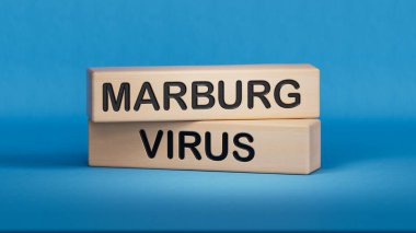 The words Marburg virus on the wooden cubes. Wooden cube blocks. Copy space.3D rendering on blue background. clipart