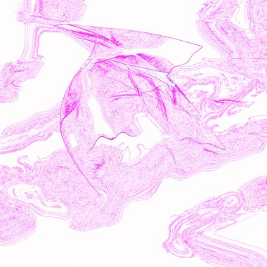 fantezi kaotik renkli fraktal desen. Soyut fraktal şekiller. 3d resimleme arkaplanı veya duvar kağıdı oluşturuluyor.