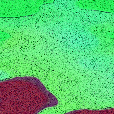 Onlar Dartlar Kişisel, Daireler Atomik, bulanık, eğimli, titrek, dalgalı ve bir çok nokta soluk yeşil, çivit ve deniz mavisi boya güzel zemin üzerinde süzülüyor