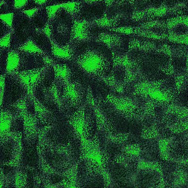 Fda Protokolleri, Atomik atomik, dalgalı, bulanık, birçok nokta, gradyan, kabarcıklı ve mozaik kiremit, yeşil sarı ve donanma desenleri 