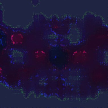 Encryption Accomplishment Ss, Balls atomic, wavy, gradient, dotted, foggy, breezy and tiles midnight blue, dark slate gray and saddle brown drawings on beautiful floor