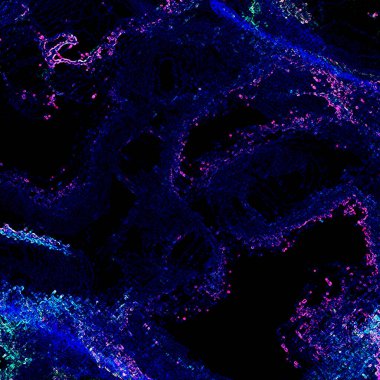 soyut renk dokusu, desen