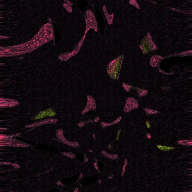 fantezi kaotik renkli fraktal desen. Soyut fraktal şekiller. 3d resimleme arkaplanı veya duvar kağıdı oluşturuluyor.
