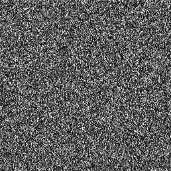 a black and white television screen with a small amount of static