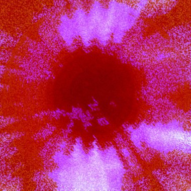 Siyah merkezli kırmızı bir çiçek.