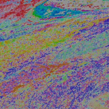 Öncü Simmons 'ın ötesinde, gerçeklik renkli şekiller. 