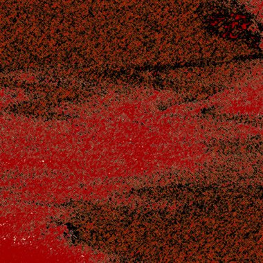 Kırmızı ve siyah arka plan, siyah ve beyaz bir köpek.