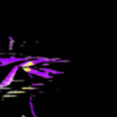 Mor kuyruklu ve sarı gözlü bir kedi.