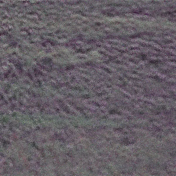 Çitli bir tarlada duran bir koyun