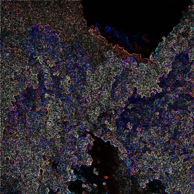 Bir ağacın siyah beyaz fotoğrafı.