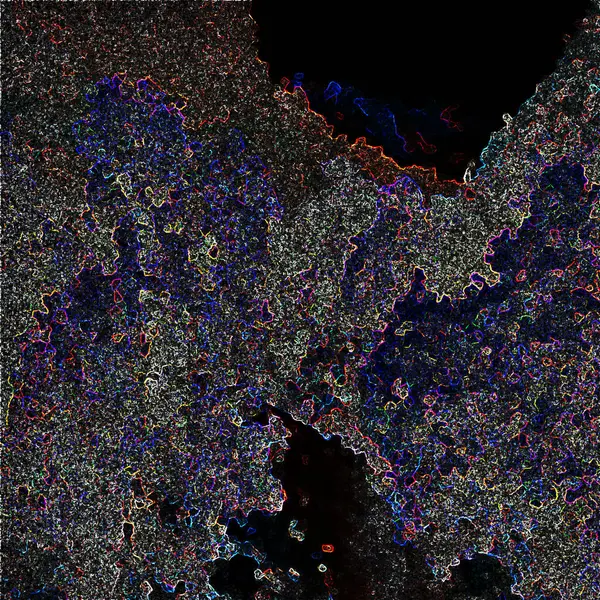 Bir ağacın siyah beyaz fotoğrafı.