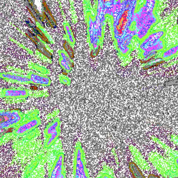 Yeşil ve mor renklerin dairesel deseni