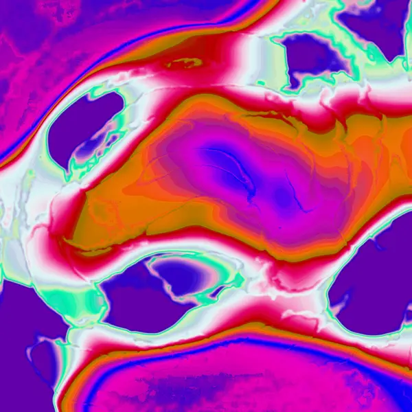 Renkli soyut bir köpek resmi.