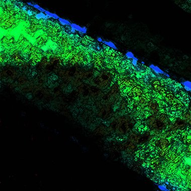 soyut yeşil doku, dijital duvar kağıdı