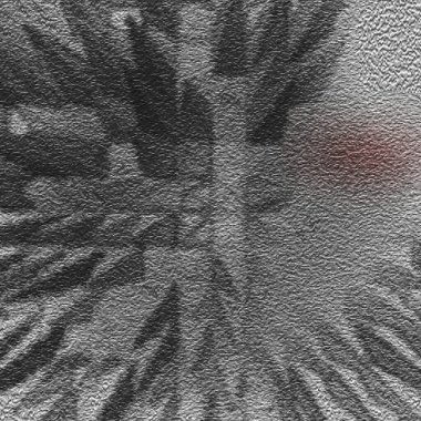 Beyaz arkaplanda Noel ağacı dalları.