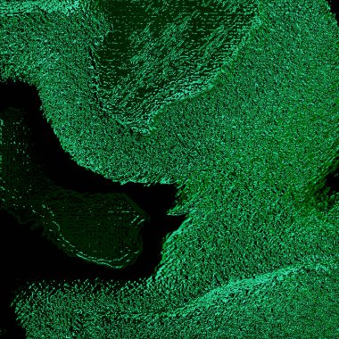 fantezi kaotik renkli fraktal desen. Soyut fraktal şekiller. 3d resimleme arkaplanı veya duvar kağıdı oluşturuluyor