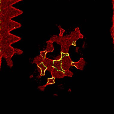 Grunge kopya alanı metin için arka plan