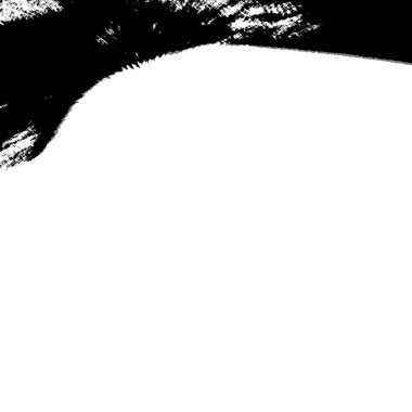 Soyut arkaplan. monokrom dokusu. resim siyah ve beyaz tonları içerir.