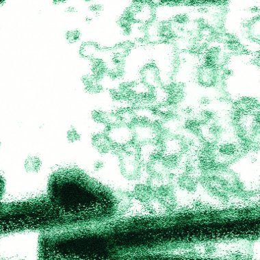 grunge yeşil arkaplan, soyut arkaplan, doku