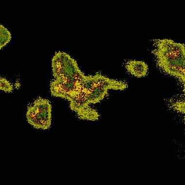 Yaratıcı kompozisyon için soyut fraktal çizim