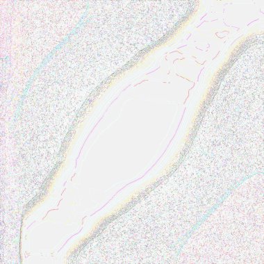 fantezi kaotik renkli fraktal desen. Soyut fraktal şekiller. 3d resimleme arkaplanı veya duvar kağıdı oluşturuluyor.