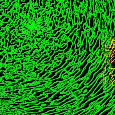 fantezi kaotik renkli fraktal desen. Soyut fraktal şekiller. 3d resimleme arkaplanı veya duvar kağıdı oluşturuluyor.