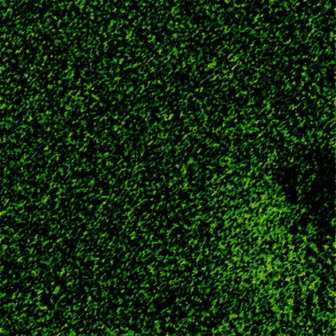 soyut yeşil arkaplan dokusu, boşluk duvar kağıdını kopyala