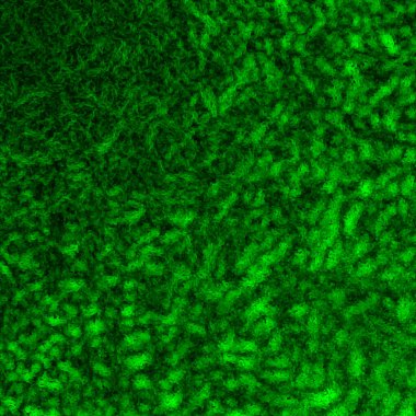 soyut yeşil doku arkaplanı