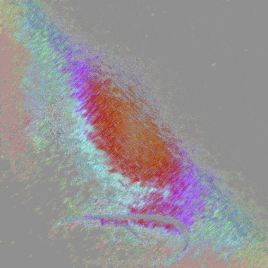 Rahipler Cevapsız, keskin pikseller, fayanslar, tıkanmış ve sıska çok renkli boyalar 