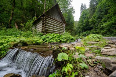 MIZHIRYA, UKRAINE, 28 Temmuz 2023 Ukrayna Karpatları 'nda savaş sırasında turizm 