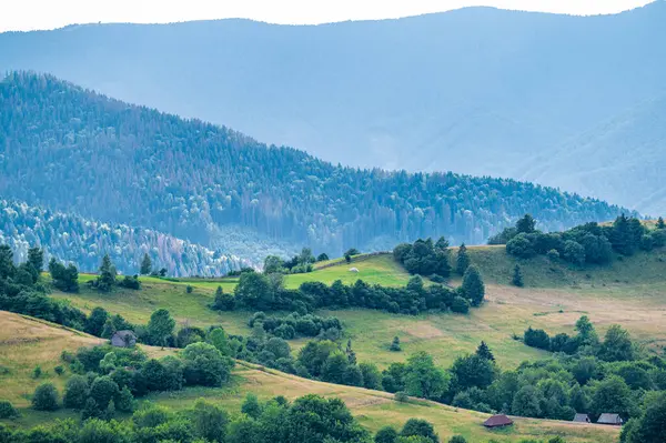 MIZHIRYA, UKRAINE, 28 Temmuz 2023 Ukrayna Karpatları 'nda savaş sırasında turizm 