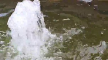 Bahçedeki küçük çeşme