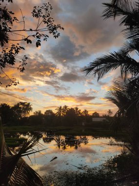 Bataklık bölgesinde gün batımında manzara