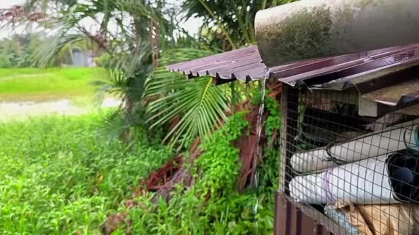 Eau Pluie Qui Coule Dans Tuyau Évacuation — Video