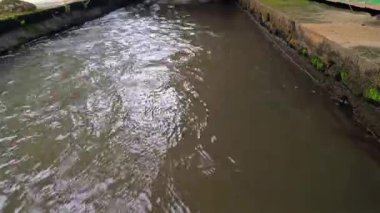 Kızartma tavasında ördek, ev yapımı.