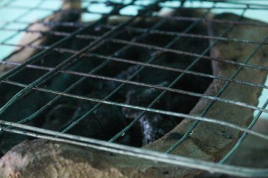 Kil bir mutfakta tel balık ızgarası.