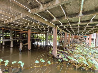 Ahşap evin altında su ve birkaç su bitkisi var.