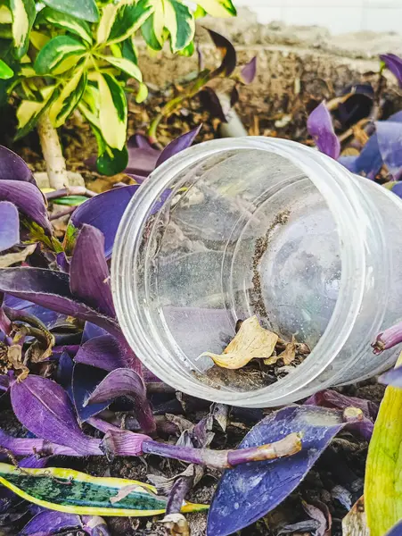 Mor çiçeklerin arasında boş plastik kavanoz