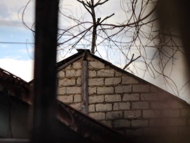 Silhouette of house roof and tree branches clipart