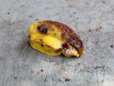 Rotten starfruit that fell to the ground clipart