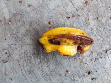 Yere düşen çürük yıldız meyvesi.