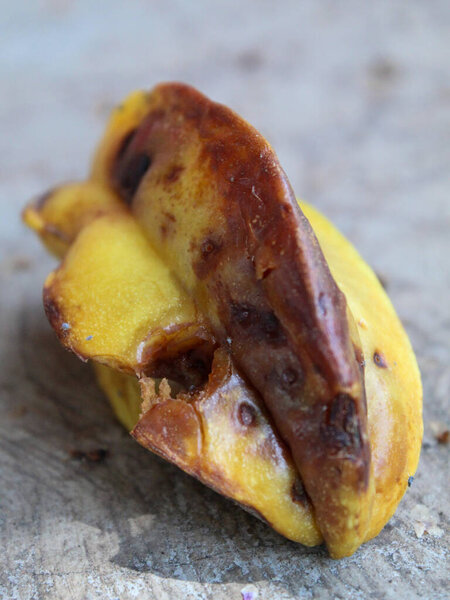 Rotten starfruit that fell to the ground