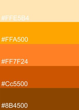 Renk kodlu turuncu tonlar için Pantone Renk Paleti