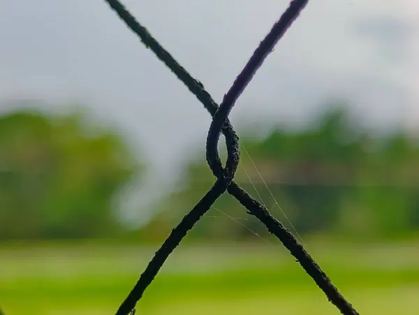 Arka planda peyzaj bulanıklığı olan tel örgüyü kapat