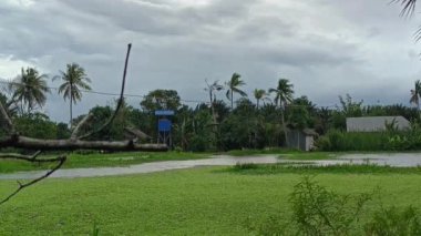 Küçük yağmur damlalarıyla doğal bataklık manzarası